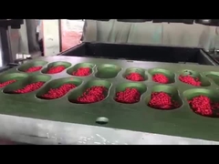 Material EVA de alta calidad Granulado de Pellet de colores Fabricación de zapatos